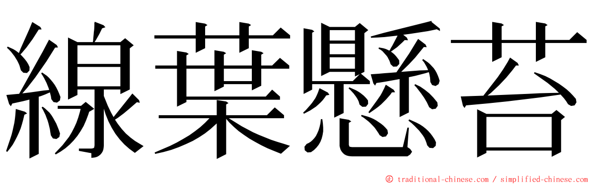 線葉懸苔 ming font