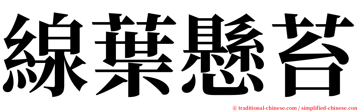 線葉懸苔 serif font