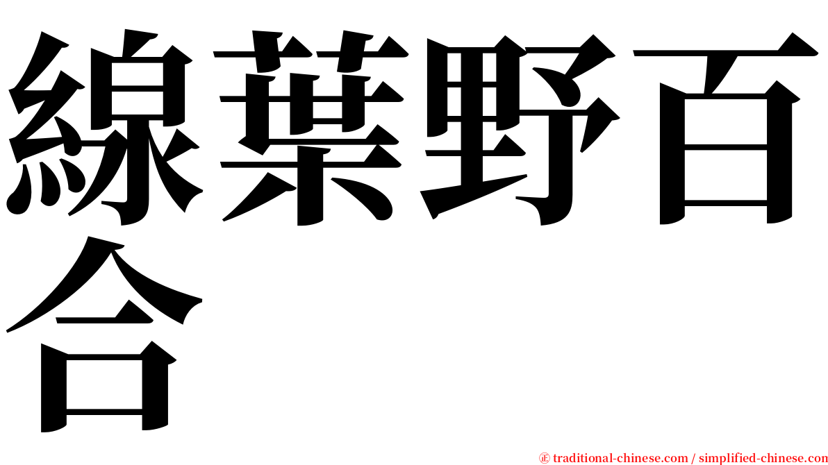 線葉野百合 serif font