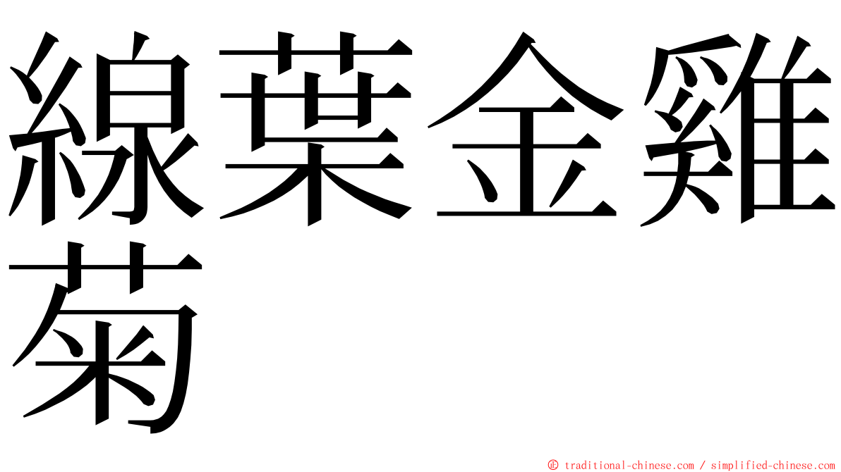 線葉金雞菊 ming font