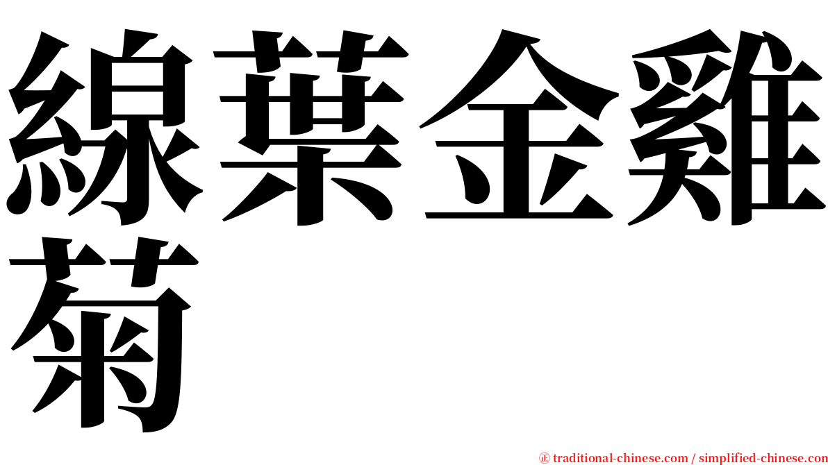 線葉金雞菊 serif font