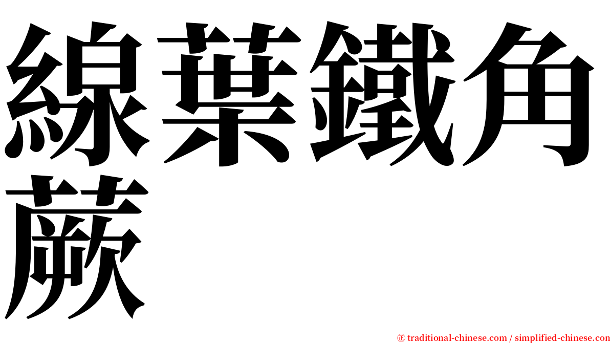 線葉鐵角蕨 serif font