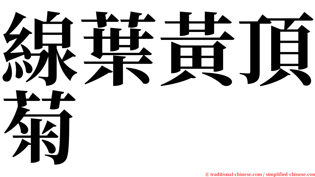 線葉黃頂菊 serif font