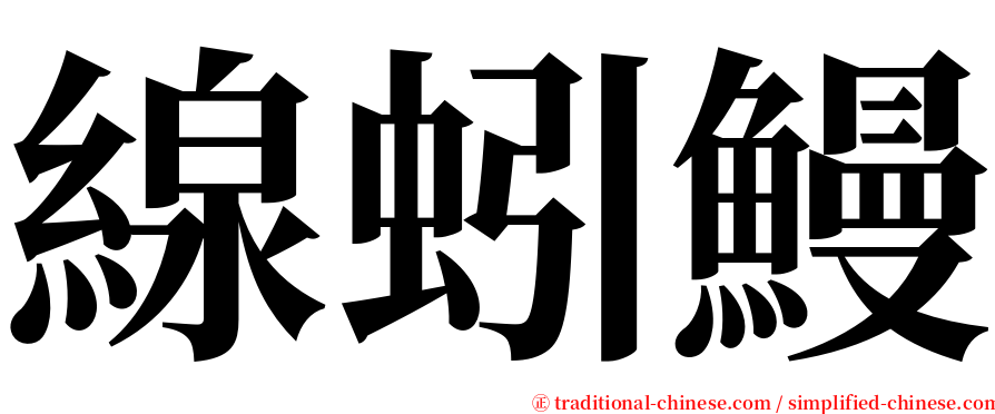 線蚓鰻 serif font