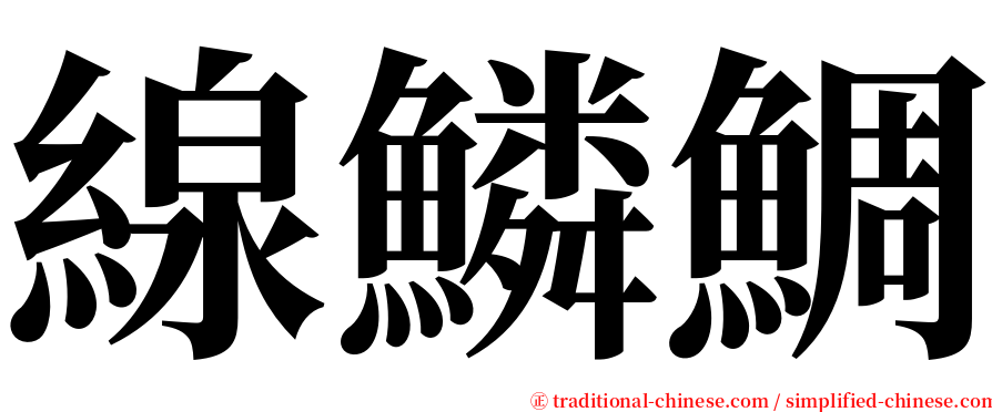 線鱗鯛 serif font