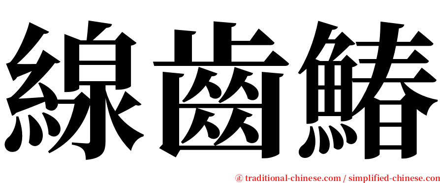 線齒鰆 serif font