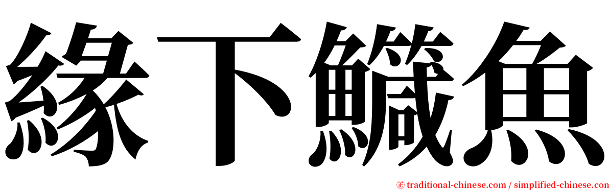 緣下鱵魚 serif font