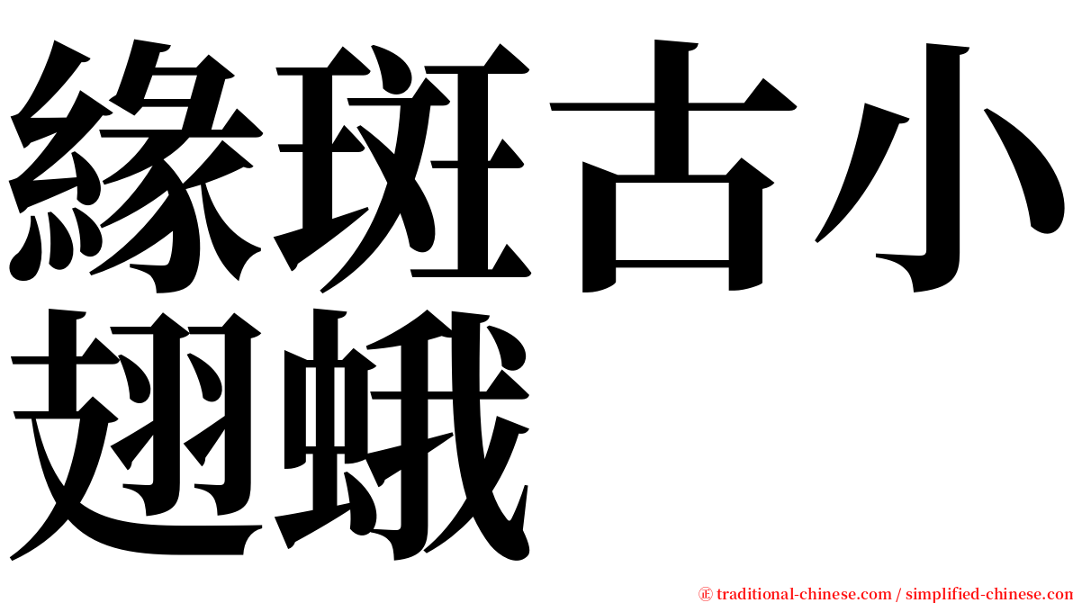 緣斑古小翅蛾 serif font