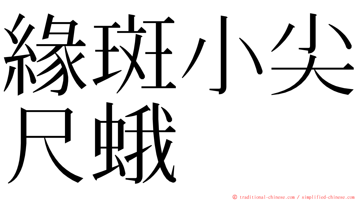 緣斑小尖尺蛾 ming font