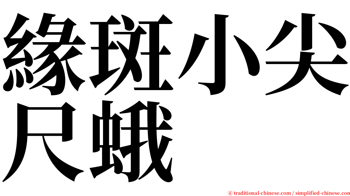 緣斑小尖尺蛾 serif font