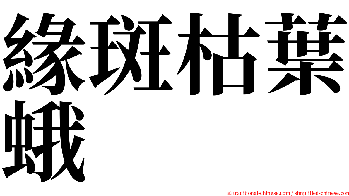 緣斑枯葉蛾 serif font