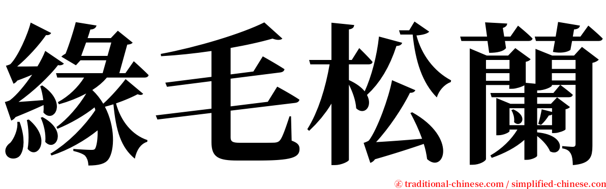 緣毛松蘭 serif font