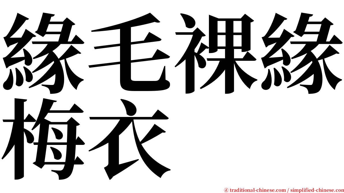 緣毛裸緣梅衣 serif font