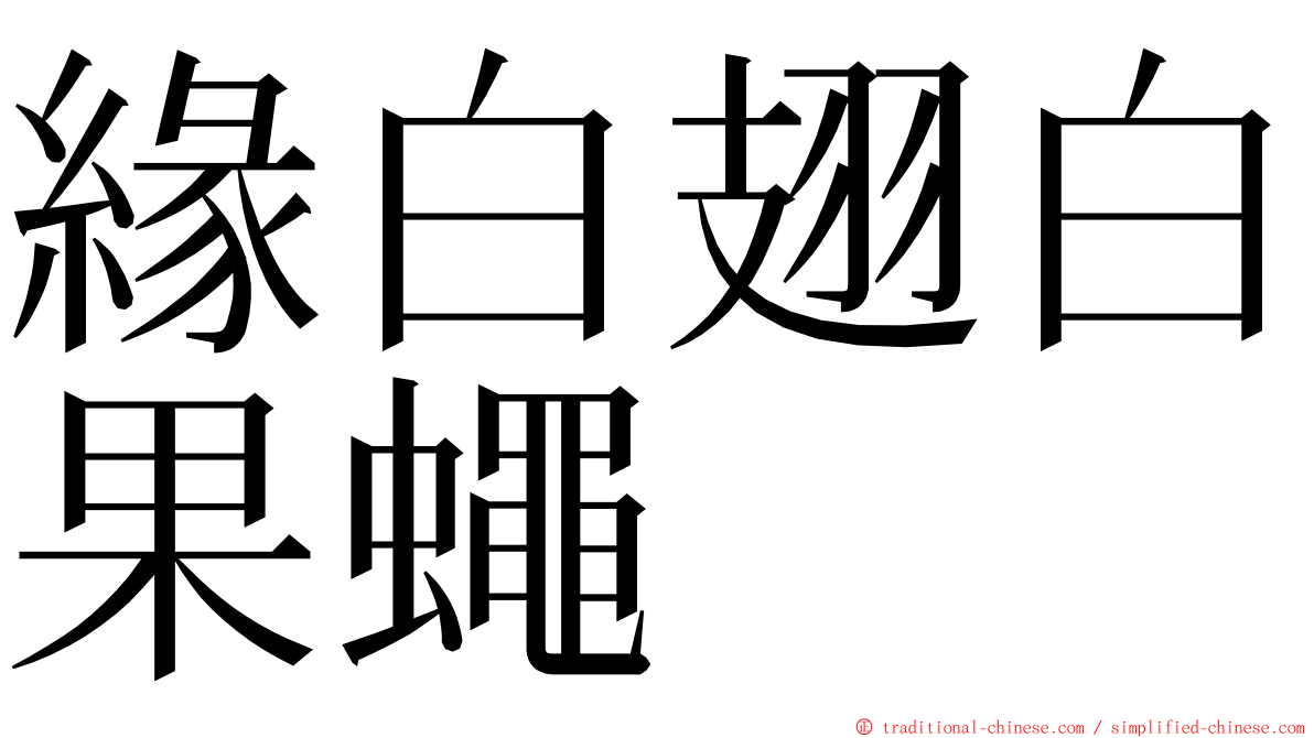 緣白翅白果蠅 ming font