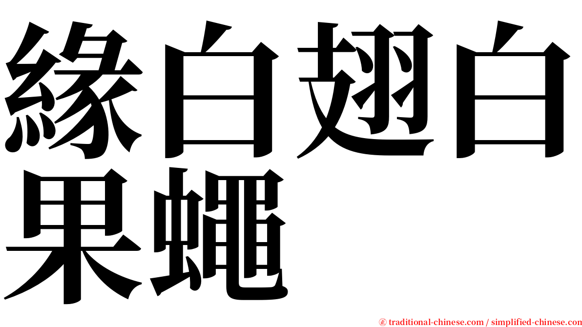 緣白翅白果蠅 serif font