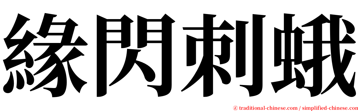 緣閃刺蛾 serif font