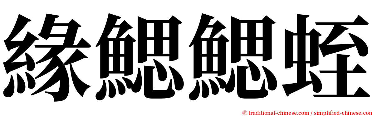 緣鰓鰓蛭 serif font