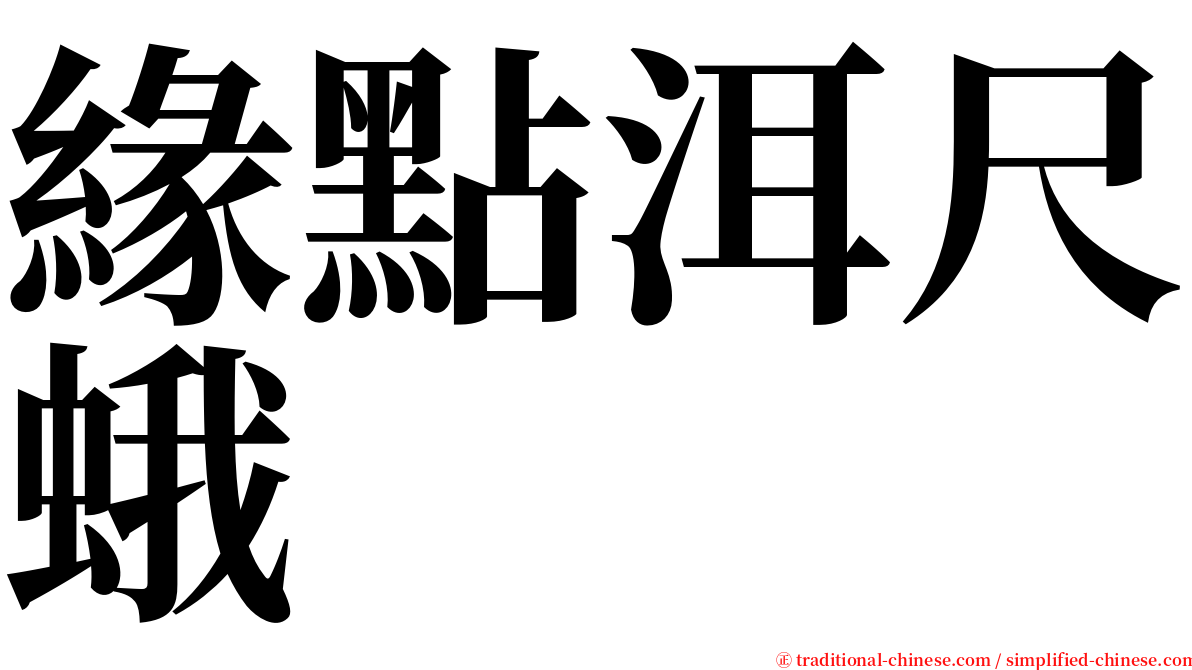 緣點洱尺蛾 serif font