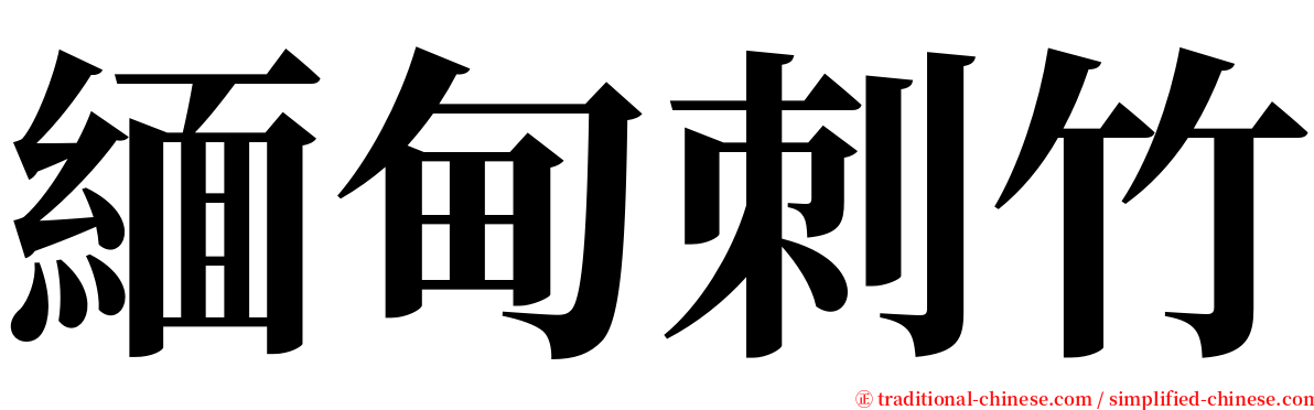 緬甸刺竹 serif font