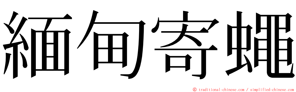 緬甸寄蠅 ming font