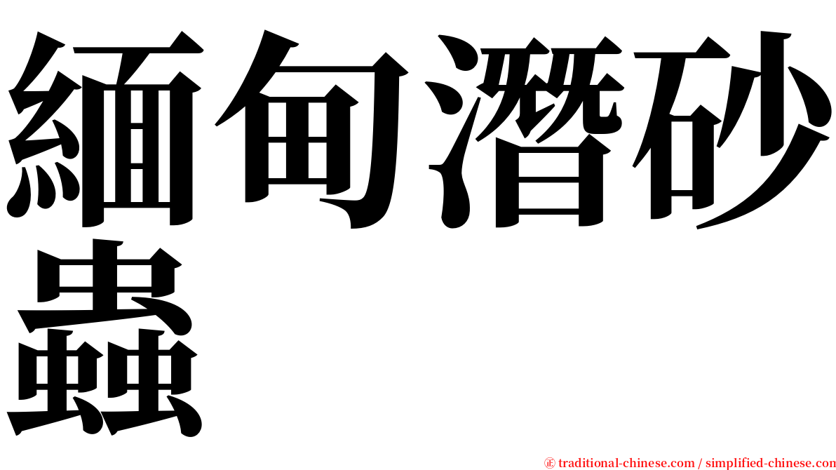 緬甸潛砂蟲 serif font