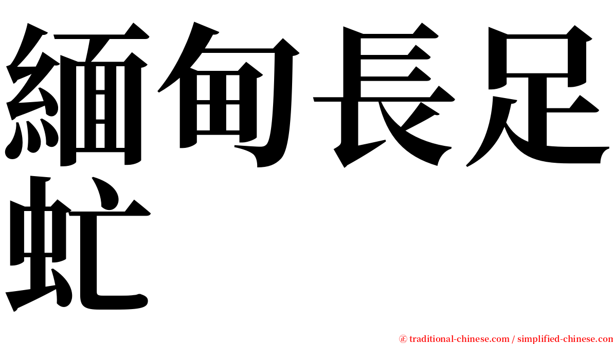 緬甸長足虻 serif font