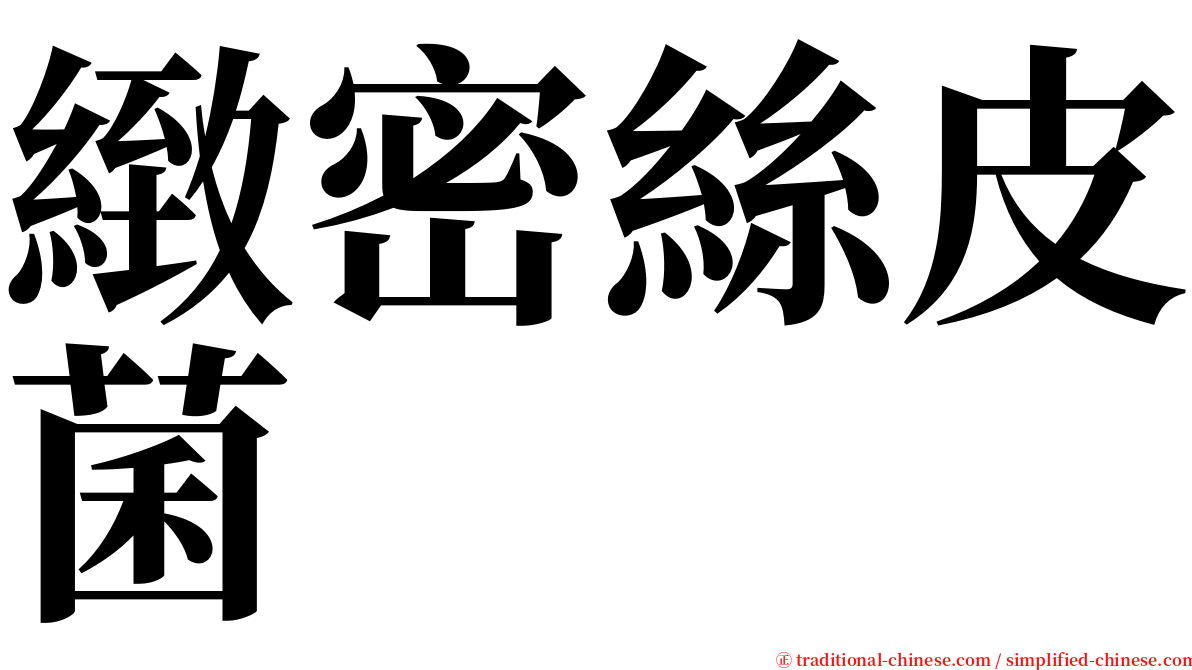 緻密絲皮菌 serif font