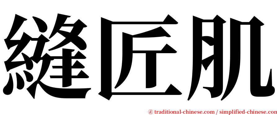 縫匠肌 serif font