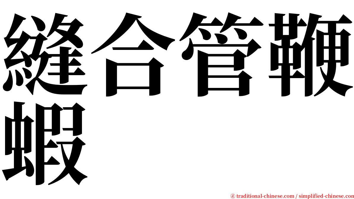 縫合管鞭蝦 serif font