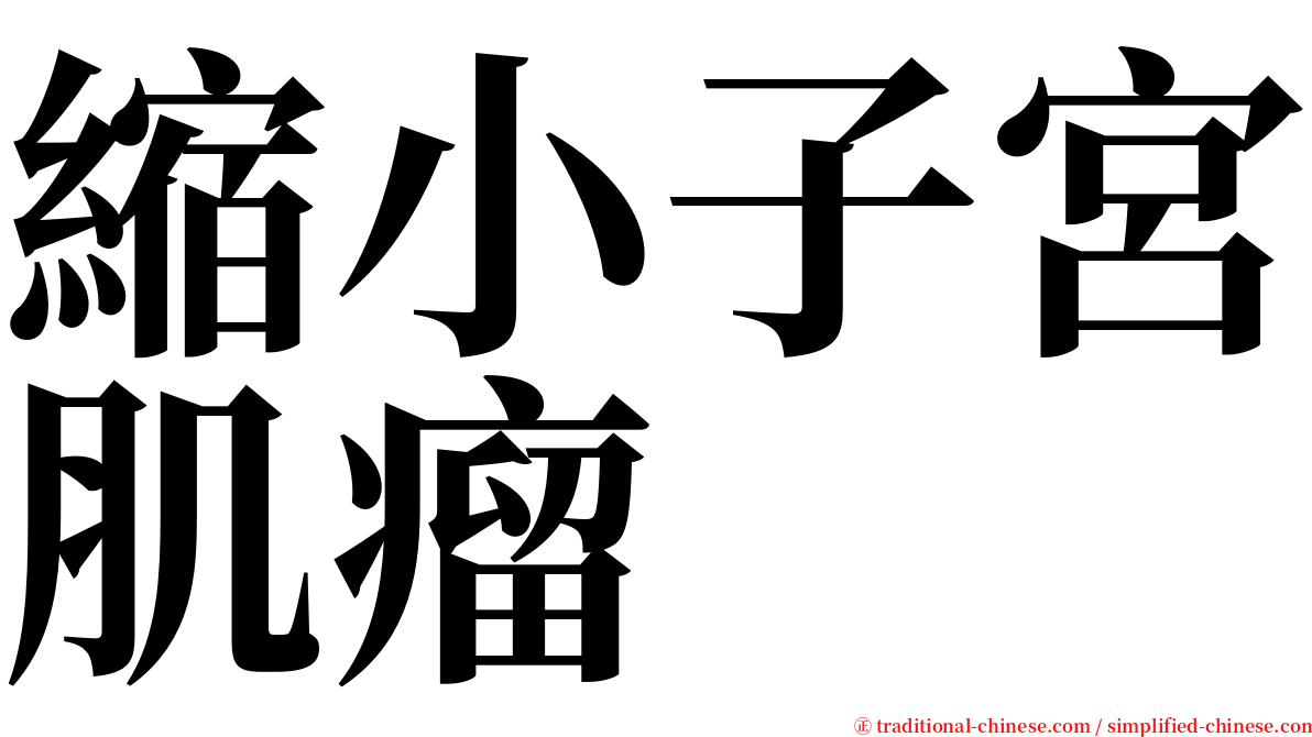 縮小子宮肌瘤 serif font