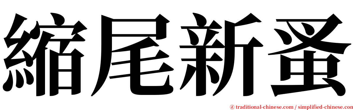 縮尾新蚤 serif font