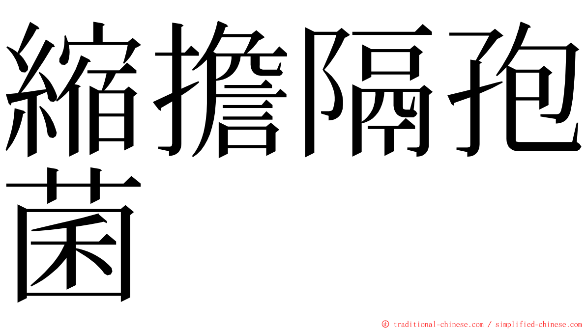 縮擔隔孢菌 ming font