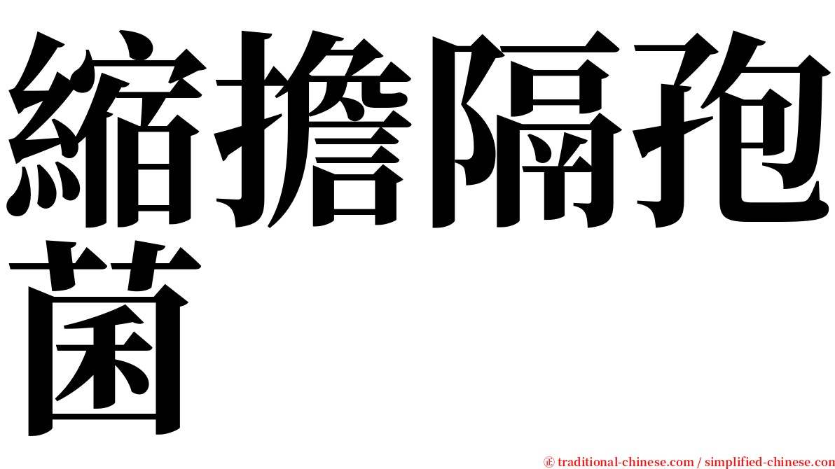 縮擔隔孢菌 serif font