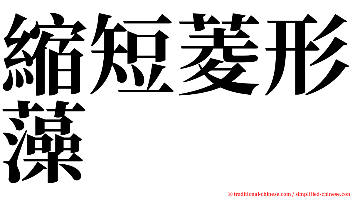 縮短菱形藻 serif font