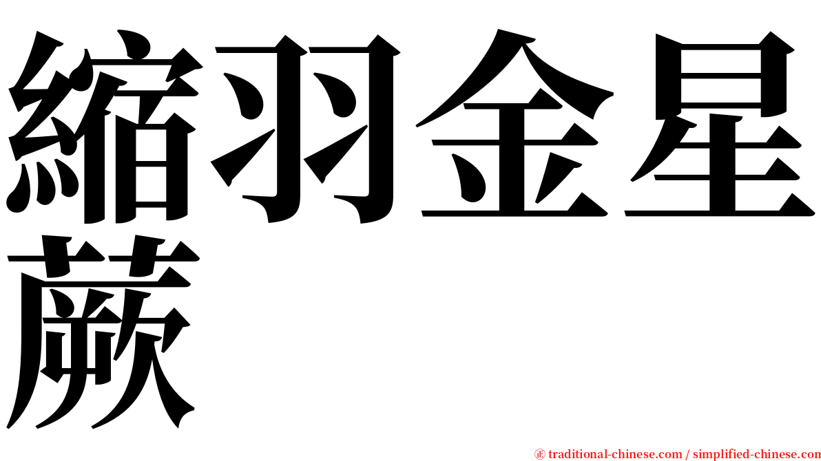 縮羽金星蕨 serif font