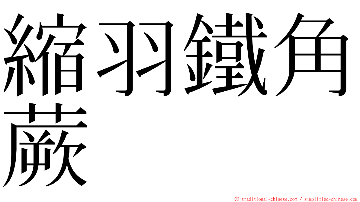 縮羽鐵角蕨 ming font