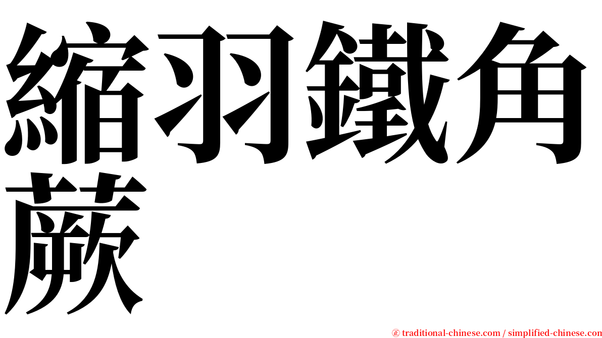 縮羽鐵角蕨 serif font