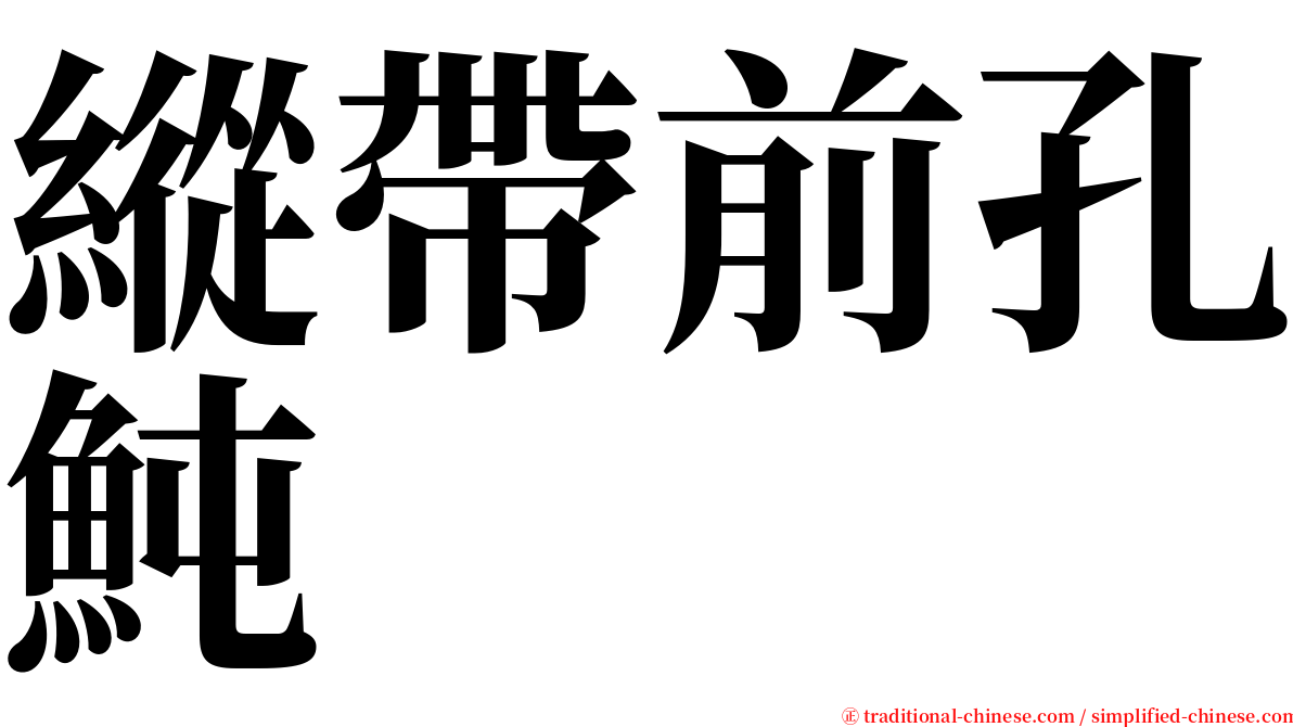 縱帶前孔魨 serif font