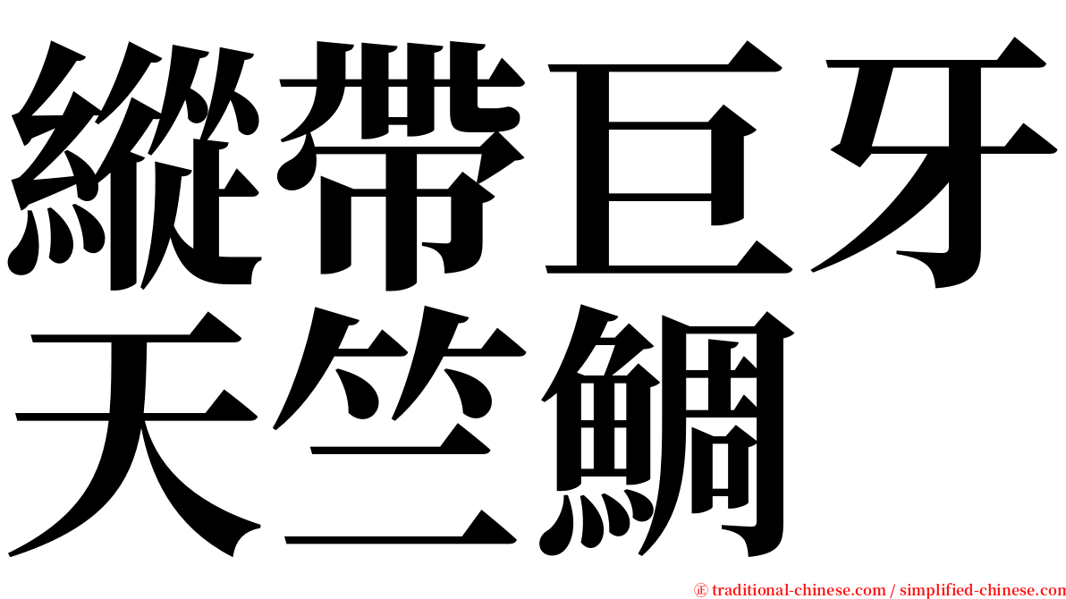 縱帶巨牙天竺鯛 serif font