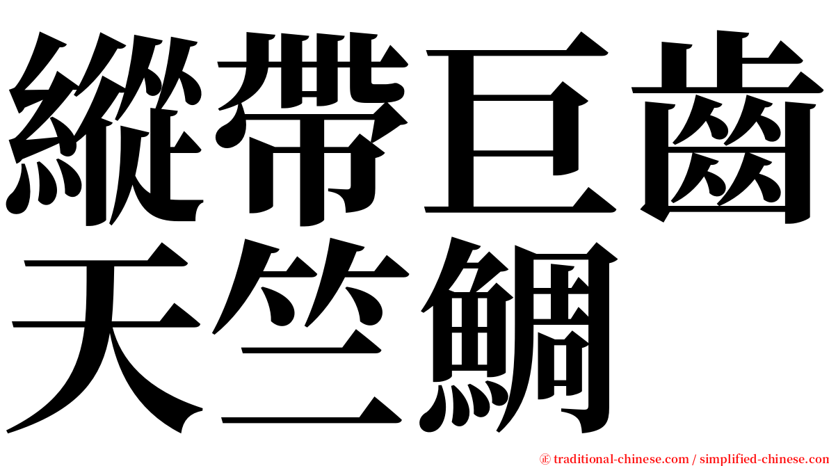 縱帶巨齒天竺鯛 serif font