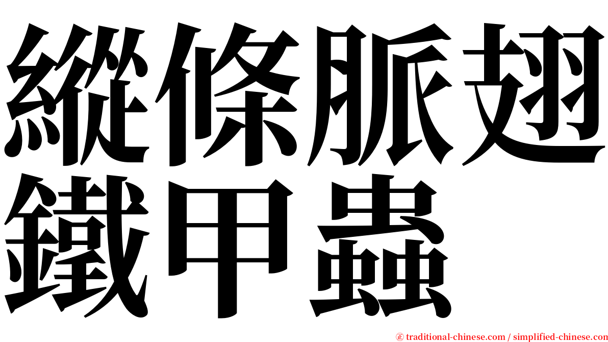 縱條脈翅鐵甲蟲 serif font