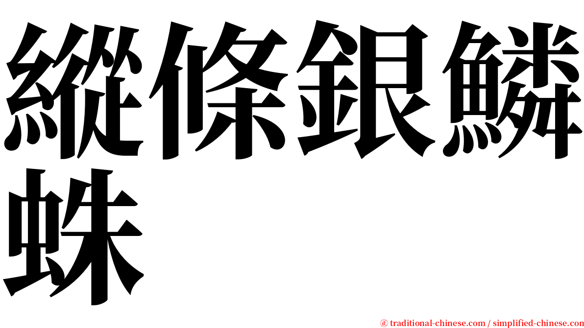 縱條銀鱗蛛 serif font