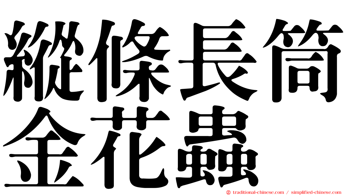 縱條長筒金花蟲