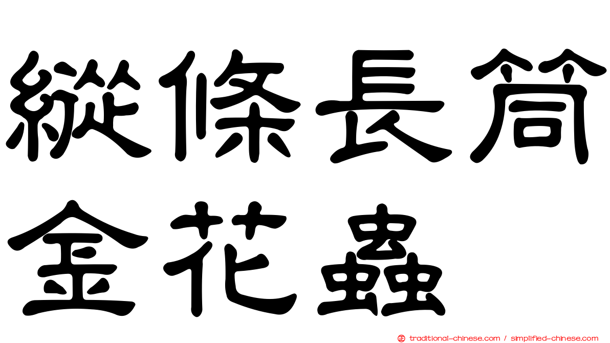縱條長筒金花蟲