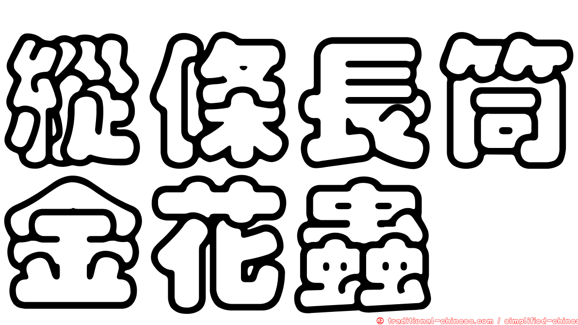 縱條長筒金花蟲