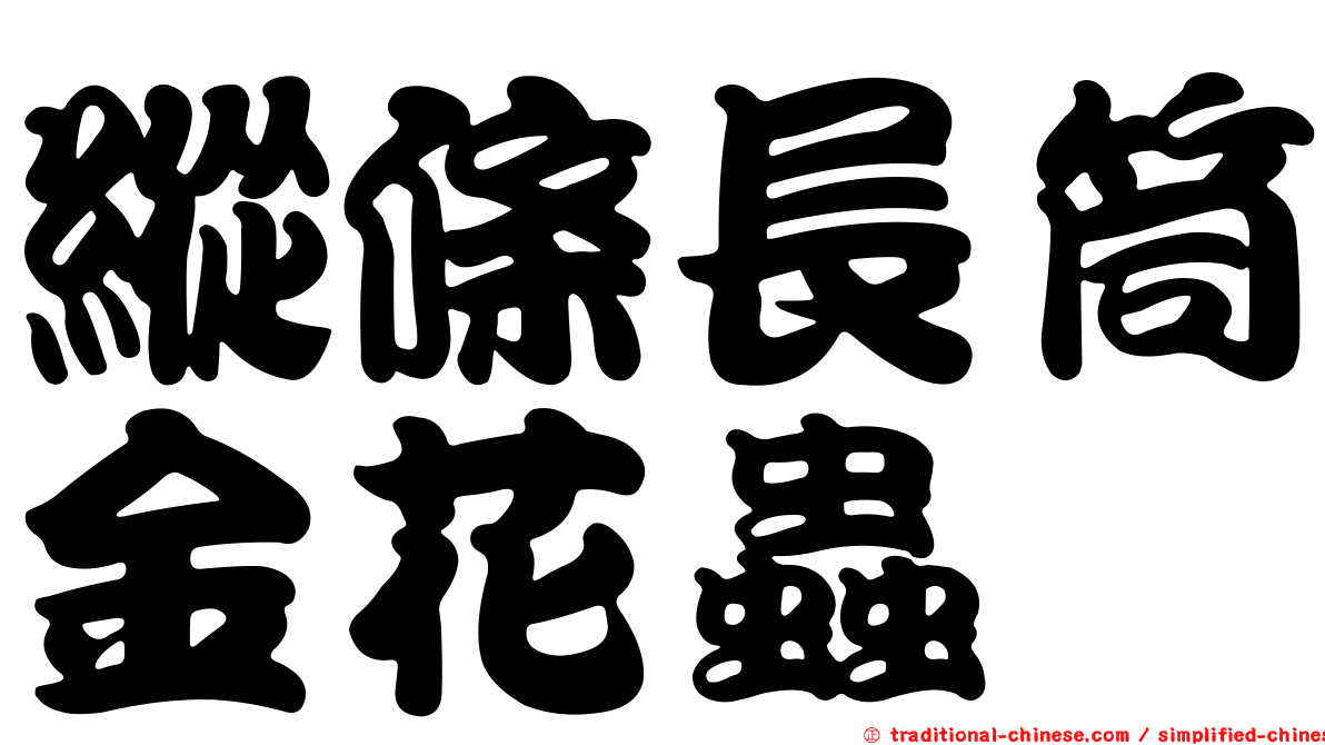 縱條長筒金花蟲