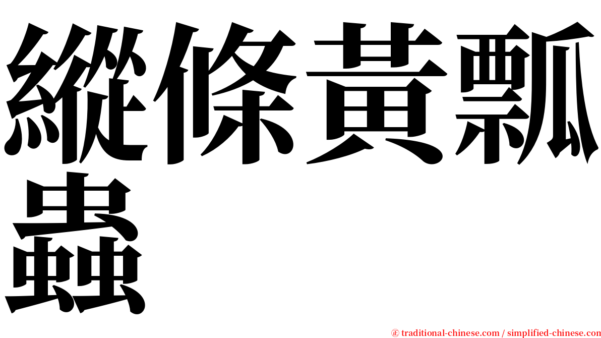 縱條黃瓢蟲 serif font