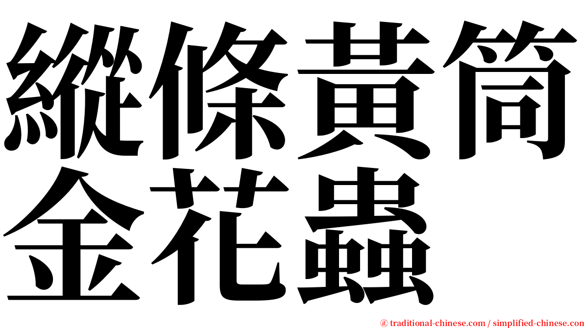 縱條黃筒金花蟲 serif font