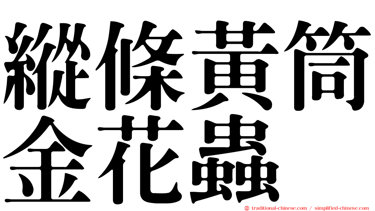 縱條黃筒金花蟲