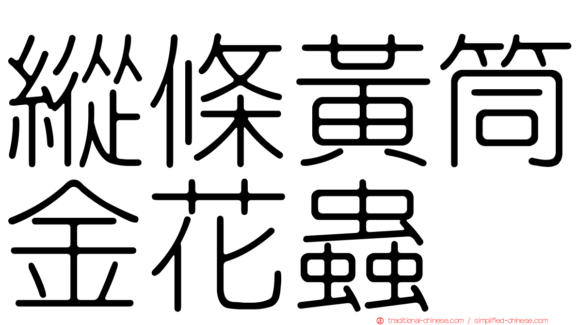 縱條黃筒金花蟲
